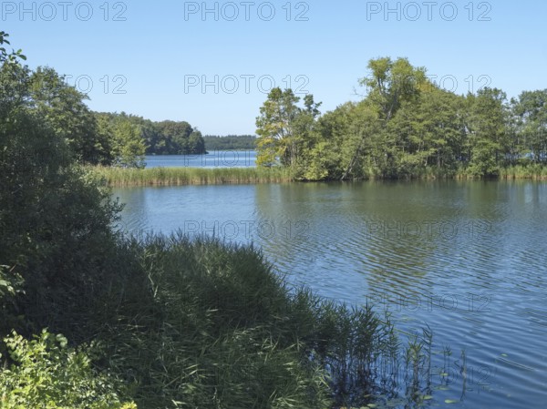 The Schaalsee at the Kampenwerder peninsula in the Schaalsee UNESCO Biosphere Reserve, Stintenburg,