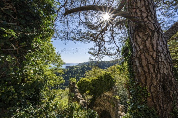 View from the Altbodman castle ruins over the Bodanrück to Lake Constance, Bodman-Ludwigshafen,