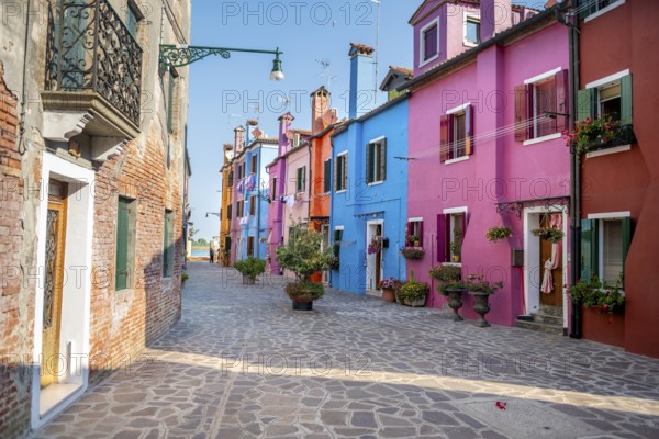 Colourful houses with flowers, colourful house facades, alleys on the island of Burano, Venice,
