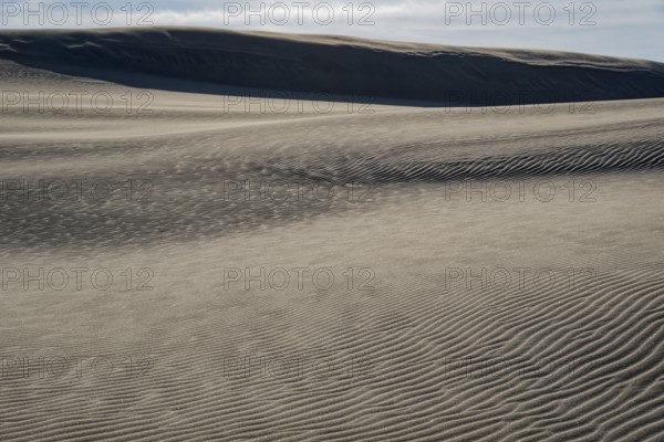 Dune landscape around the Lontz Dune, Wydma Lacka, the largest travelling dune on the Polish Baltic
