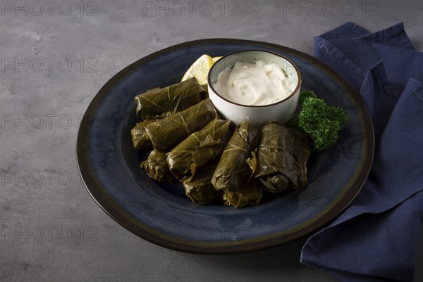 Dolma, cabbage rolls, grape leaves with filling, white sauce, lemon and herbs, rustic, selective
