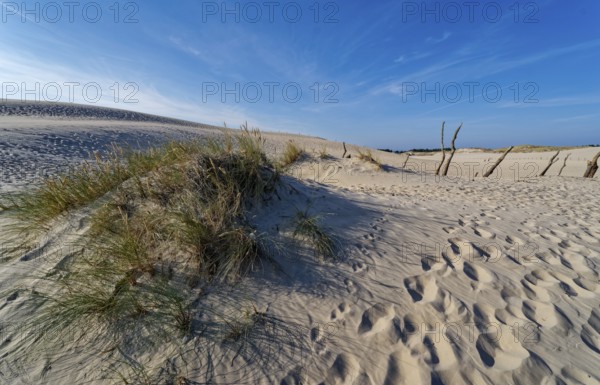 Dune landscape around the Lontz Dune, Wydma Lacka, the largest travelling dune on the Polish Baltic
