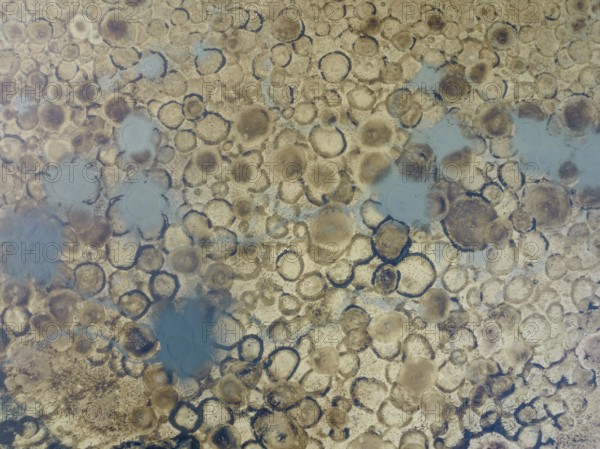 Conspicuous patterns at the bottom of the shallow lagoon Salinas de Cerrillos, aerial view, drone