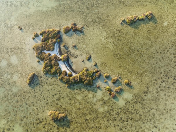 Islands and conspicuous patterns at the shallow lagoon Salinas de Cerrillos, aerial view, drone