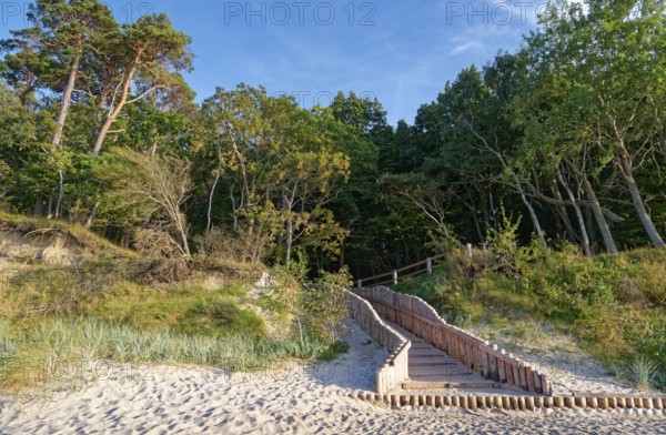 Palisaded path to the sandy beach and the tree-covered coast in the Wolin National Park, also known