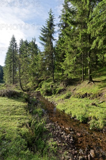 Landscape on the Romanian national road DN75 at the stream Paraul Vartopu. Vartop, Alba County,