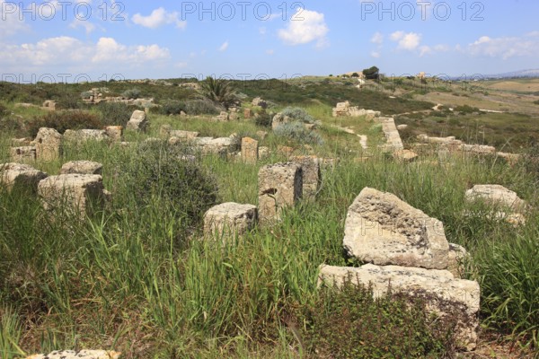 Selinunte, remains of the temples in the archaeological site of Selinunte, Trapani province,