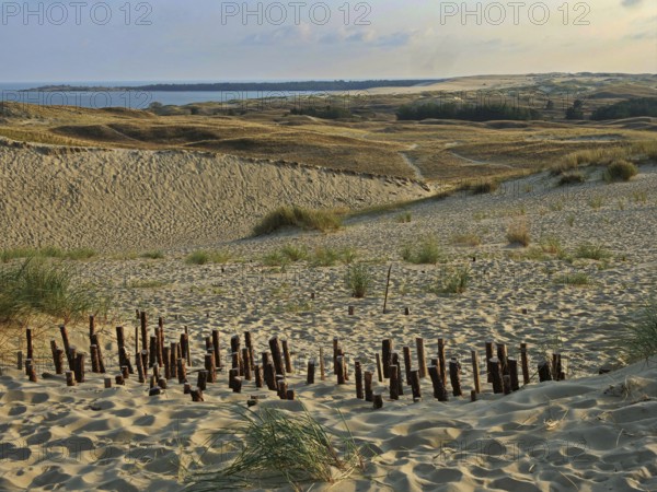 The Parnidis Dune in the Curonian Spit National Park is one of the largest shifting sand dunes in