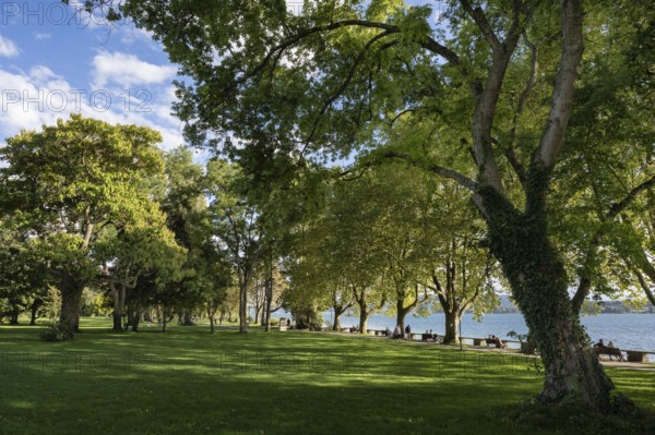 The Mettnau Park with the Istres Promenade on the shore of Lake Constance, Mettnau Peninsula,