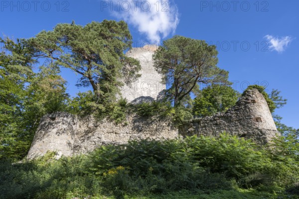 The Altbodman castle ruins on the Bodanrück, Bodman-Ludwigshafen, Constance district,