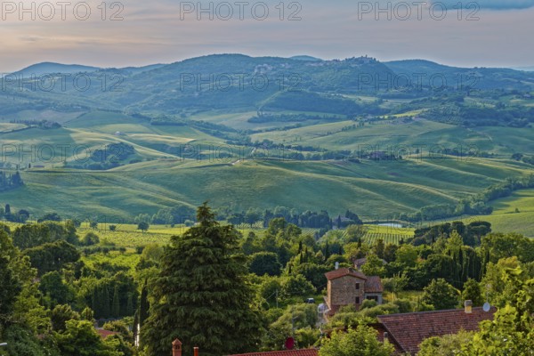 Landscape in the rays of the evening sun near Montepulciano in Tuscany: Montepulciano, Tuscany,