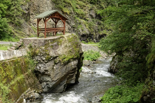 Resting place at Jiet Bach, a mountain stream in the Fagaras Mountains, also Fogarasch Mountains,