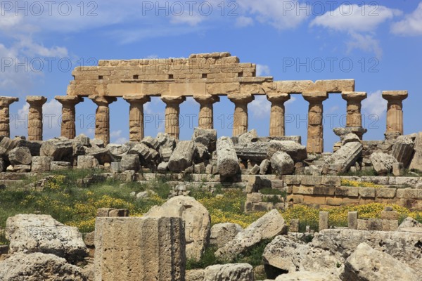 Selinunte, remains of the temples of the acropolis in the archaeological site of Selinunte, Trapani