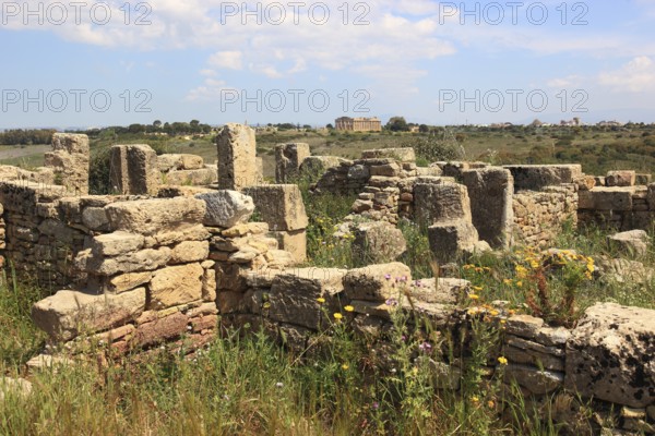 Selinunte, remains of the temples in the archaeological site of Selinunte, Trapani province,
