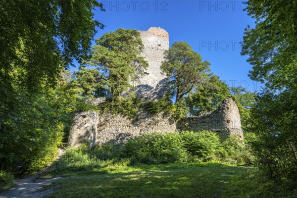 The Altbodman castle ruins on the Bodanrück, Bodman-Ludwigshafen, Constance district,