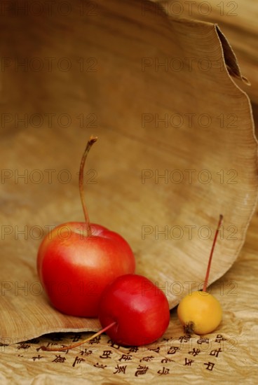 Decorative apples and characters (Malus)
