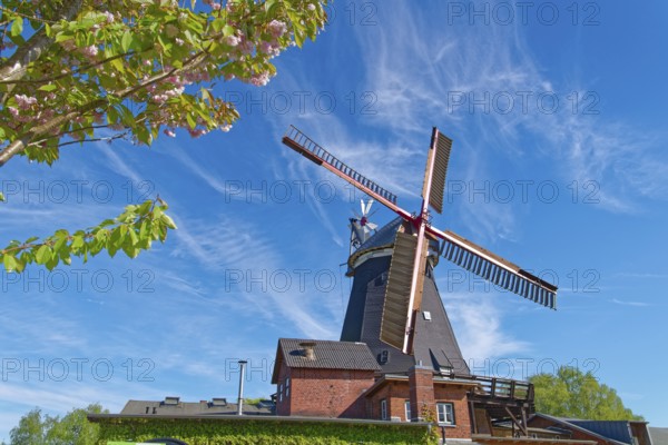 The Riepenburger Mühle, Boreasmühle, is a Dutch windmill dating from 1828. It is the oldest and