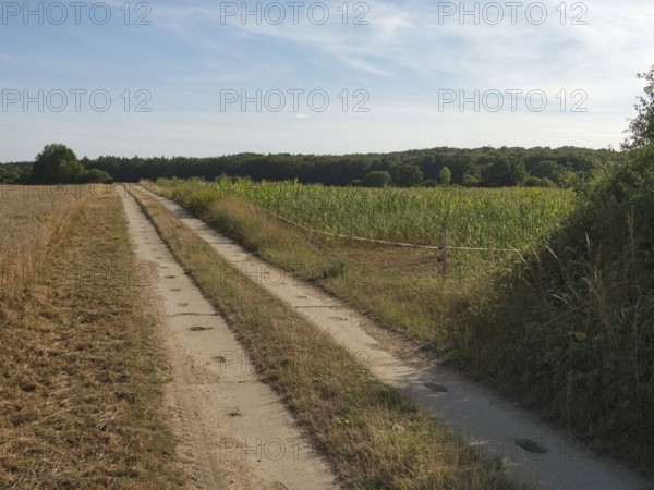 The column trail along the former inner-German border marks the green band between