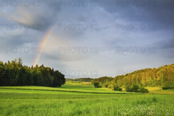 Evening thunderstorm atmosphere with rainbow over lush green mixed forest, in the Zurich Oberland,