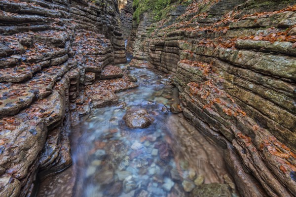 Taugl, Tauglbach flows through gorge, Tauglbachklamm, autumn, Tennengau, Bad Vigaun, Salzburger