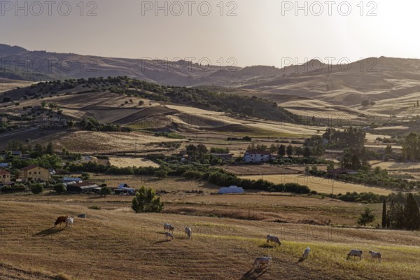 Landscape near the Sicilian village of Sperlinga near Nicosia. Sicily, Italy, Southern Europe,