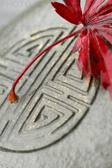 Japanese Maple leaf and Japanese emblem in stone, esotericism, symbol Japanese maple, leaf, and