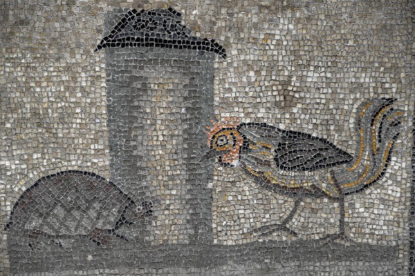 Early Christian floor mosaic from the 4th century, Basilica Santa Maria Assunta, Unesco World