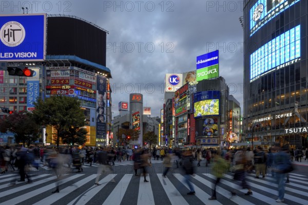 People cross the Shibuya crossroads, most frequented crossroads in the world, Shibuya, Tokyo,
