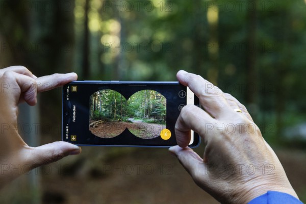 Autumn mood, hiker checks autumn forest on a smartphone, Weitental near Bruck an der Mur, Styria,