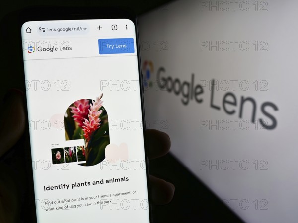 Stuttgart, Germany, 09-23-2023: Person holding smartphone with webpage of image recognition app