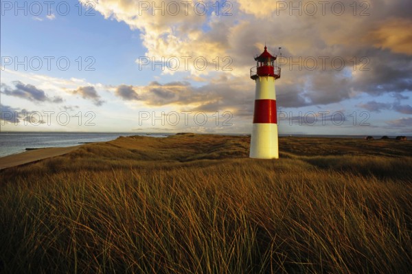 The lighthouse List Ost at the Ostellenbogen on the island of Sylt, island of Sylt,