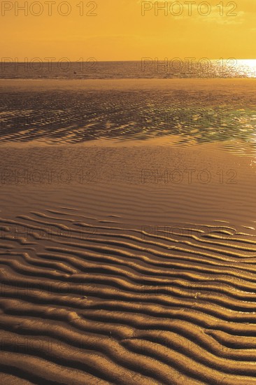 Sunset in the Wadden Sea, East Frisia, North Sea coast, North Sea coast, Lower Saxony, Federal