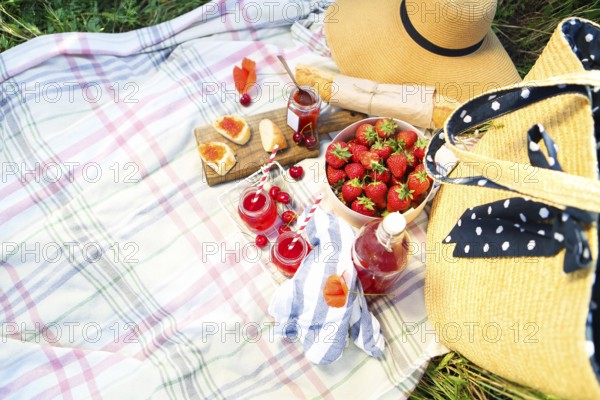 Basket, sandwiches, plaid and juice in a poppy field. Vintage tender background. Romance, love,