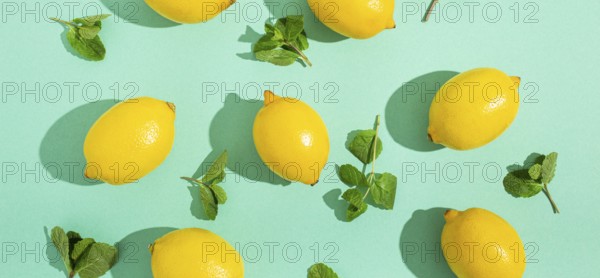 Fresh yellow lemons with mint on minimal blue background on bright sun light with hard shadows