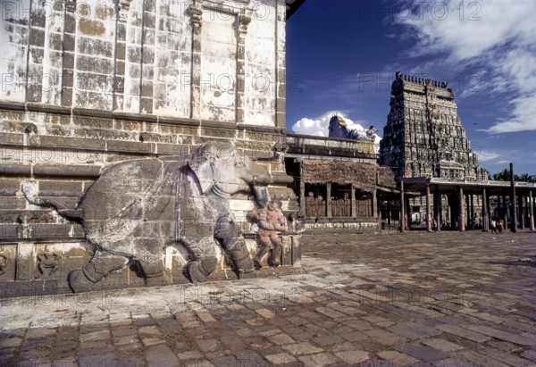 An elephant bas relief on the outer wall of the thousand pillared hall and eastern Rajagopuram
