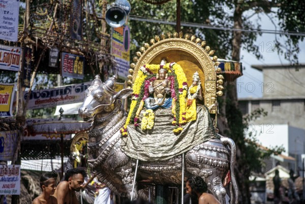 Procession during Arudra Dharshan festival in Thillai Nataraja temple in Chidambaram, Tamil Nadu,