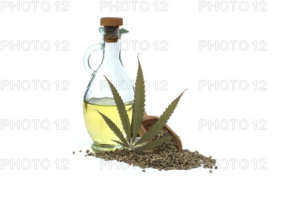 Hemp (Cannabis sativa) leaf in front of cannabis oil in glass decanter and hemp seeds isolated on