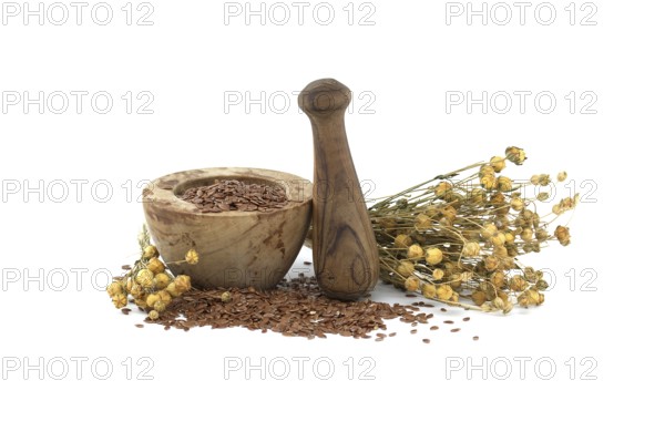 Flaxseed in wooden rustic-style mortar with pestle and bunch of flax plants isolated on white