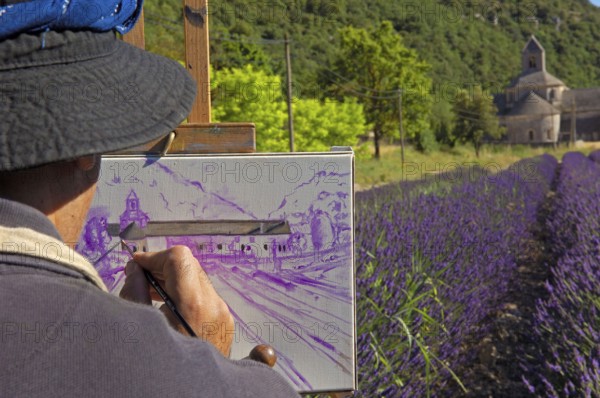 Art painter in lavender field, Senanque Abbey, Gordes, Provence, South of France, lavender,