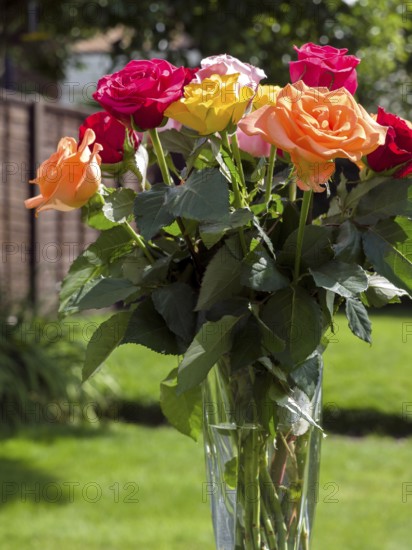 A vase of colourful Roses out in the garden