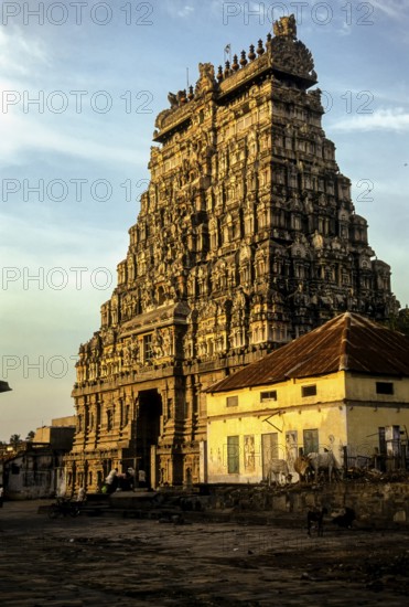 Wastern side Rajagopuram of Thillai Nataraja temple in Chidambaram, Tamil Nadu, South India, India,