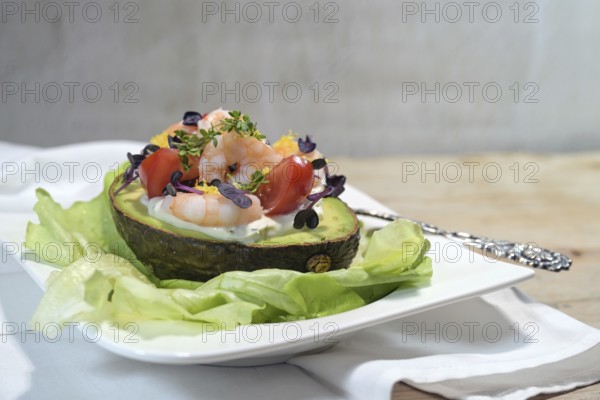 Filled avocado with shrimps, tomatoes, mayonnaise and cress garnish on lettuce and a white plate,