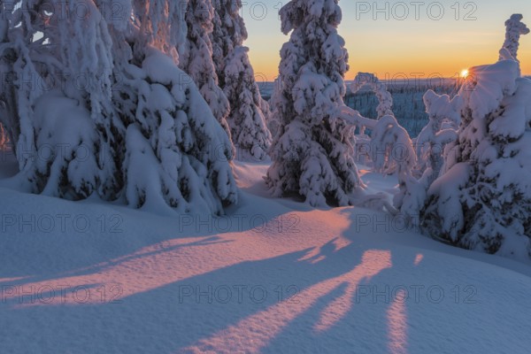 Winter landscape, Stubba Nature Reserve, Laponia World Heritage Site, Norrbotten, Lapland, Sweden,