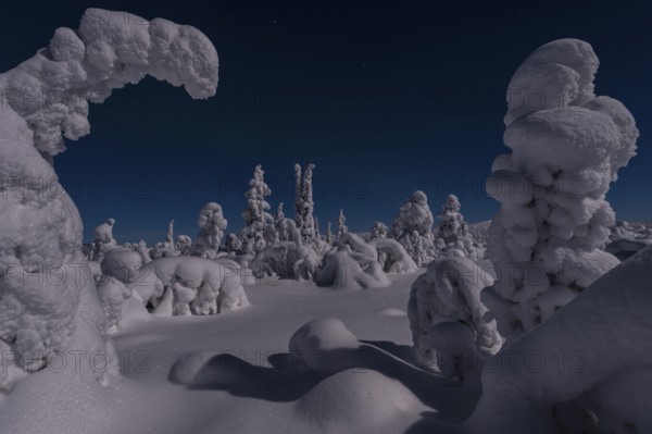 Snow-covered landscape in the moonlight, Gällivare, Norrbotten, Lapland, Sweden, December 2012,