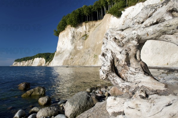 Cretaceous coast, Jasmund National Park, Island of Rügen, Mecklenburg-Western Pomerania, Germany,