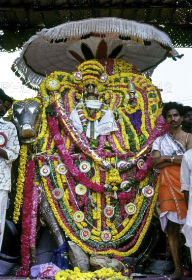 Lord Kumbeswara with goddess Mangalambigai in decorated Rishaba Vahanam places in the bank of the