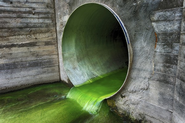 Bright green polluted effluent flowing through a drainage pipe exiting through a concrete wall in