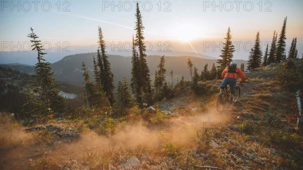 Mountain biker descending a forest trail at sunset, surrounded by trees and raising dust, Baldy