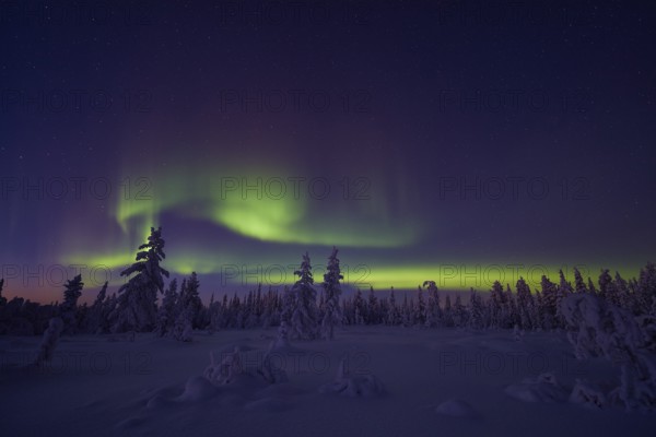 Northern Lights (Aurora borealis), Stubba Nature Reserve, Laponia World Heritage Site, Norrbotten,
