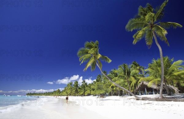 Palm Beach, National Park, Saona Island, Parque Nacional del Este, Dominican Republic, Central